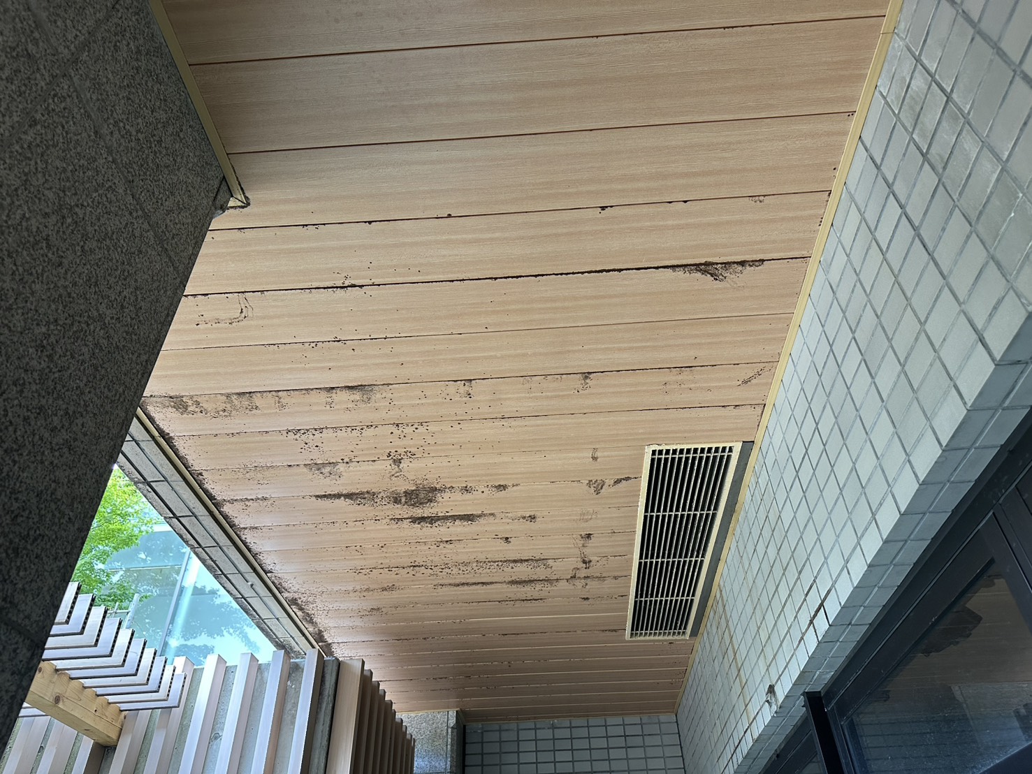 天井パネル 施工前